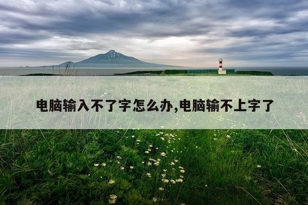 电脑输入不了字怎么办,电脑输不上字了