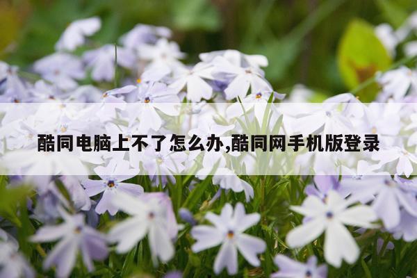 酷同电脑上不了怎么办,酷同网手机版登录