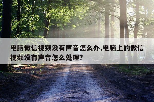 电脑微信视频没有声音怎么办,电脑上的微信视频没有声音怎么处理?