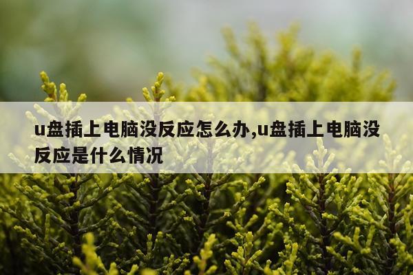 u盘插上电脑没反应怎么办,u盘插上电脑没反应是什么情况