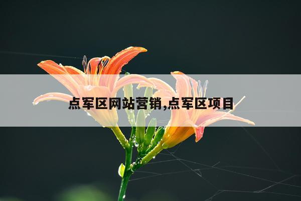 点军区网站营销,点军区项目