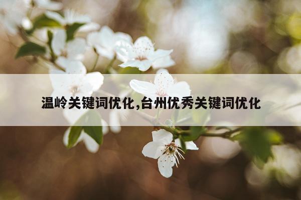 温岭关键词优化,台州优秀关键词优化