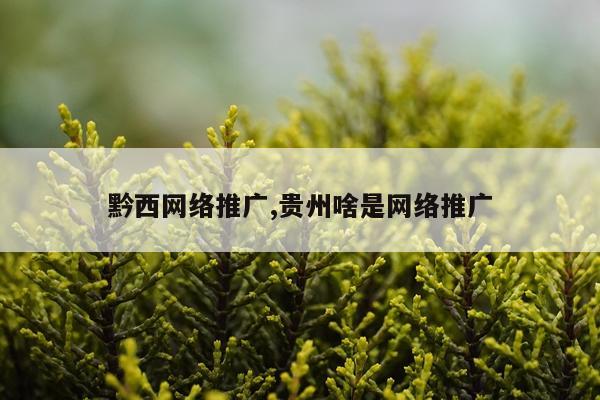黔西网络推广,贵州啥是网络推广