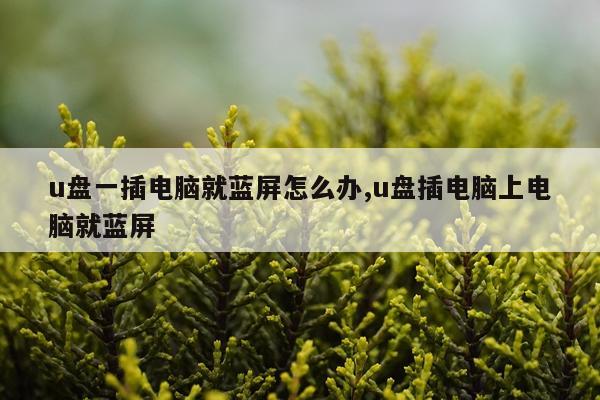 u盘一插电脑就蓝屏怎么办,u盘插电脑上电脑就蓝屏