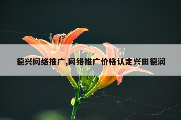 德兴网络推广,网络推广价格认定兴田德润