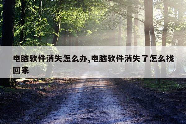 电脑软件消失怎么办,电脑软件消失了怎么找回来