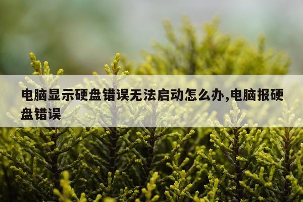 电脑显示硬盘错误无法启动怎么办,电脑报硬盘错误