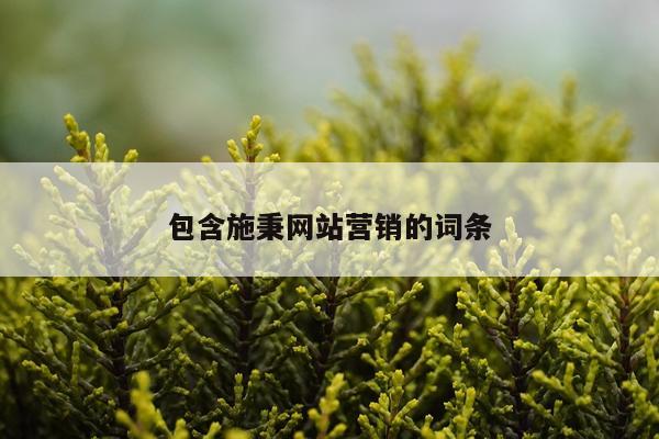 包含施秉网站营销的词条