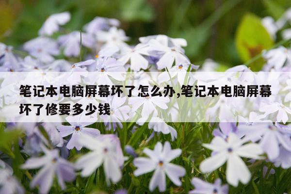 笔记本电脑屏幕坏了怎么办,笔记本电脑屏幕坏了修要多少钱