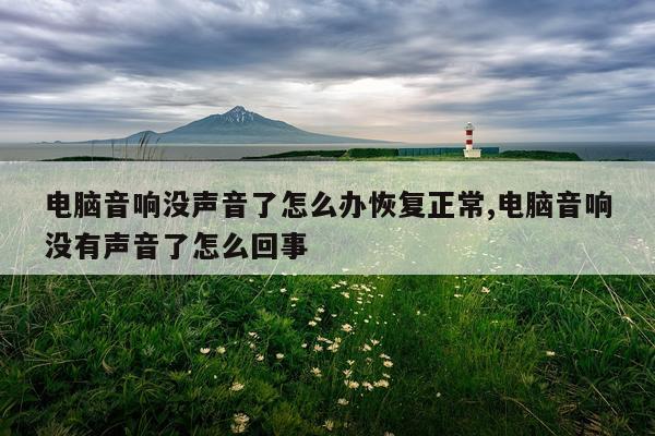 电脑音响没声音了怎么办恢复正常,电脑音响没有声音了怎么回事