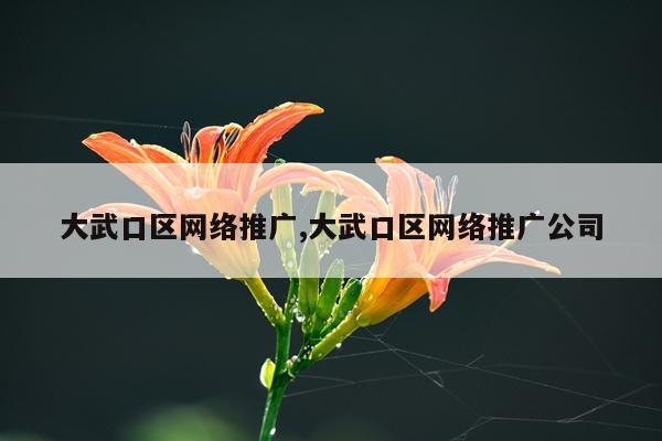 大武口区网络推广,大武口区网络推广公司