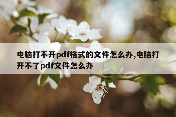 电脑打不开pdf格式的文件怎么办,电脑打开不了pdf文件怎么办
