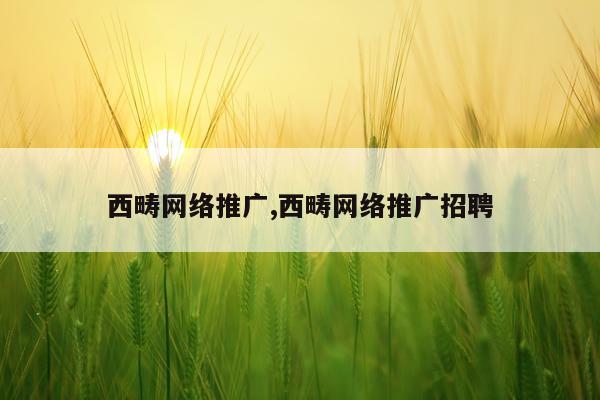 西畴网络推广,西畴网络推广招聘