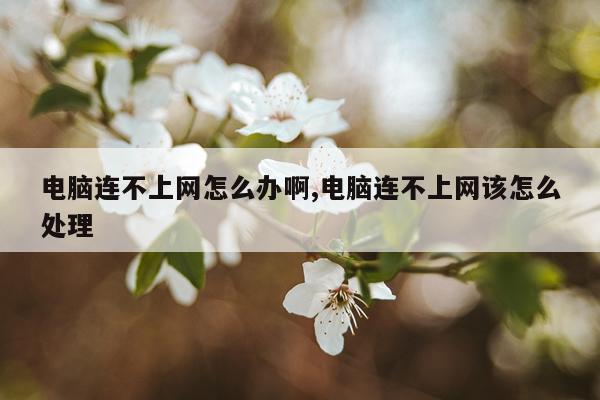 电脑连不上网怎么办啊,电脑连不上网该怎么处理