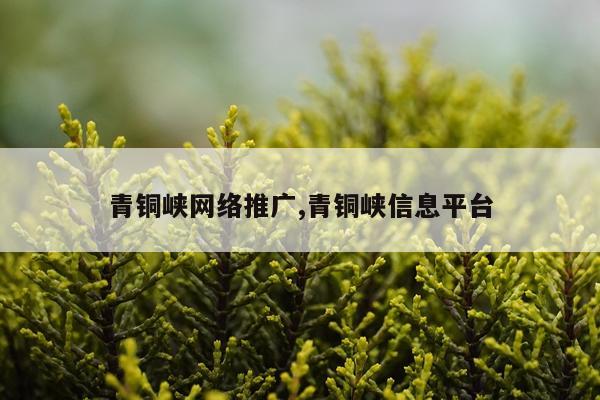 青铜峡网络推广,青铜峡信息平台