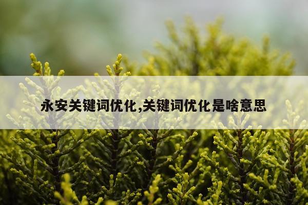 永安关键词优化,关键词优化是啥意思
