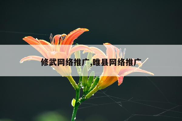 修武网络推广,睢县网络推广