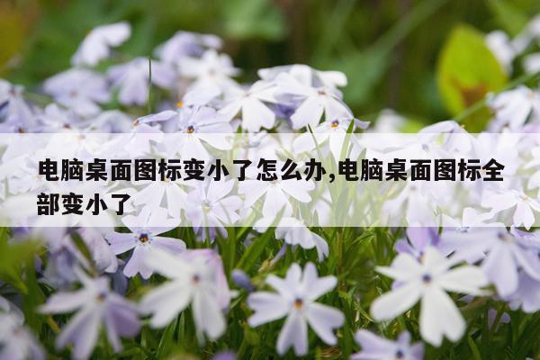 电脑桌面图标变小了怎么办,电脑桌面图标全部变小了