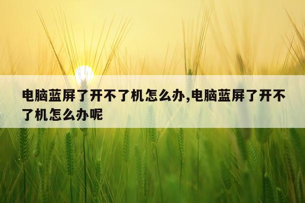 电脑蓝屏了开不了机怎么办,电脑蓝屏了开不了机怎么办呢