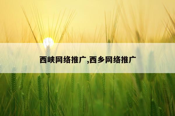 西峡网络推广,西乡网络推广