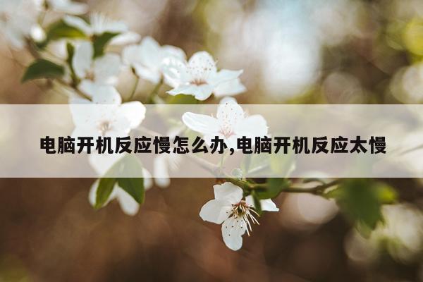 电脑开机反应慢怎么办,电脑开机反应太慢