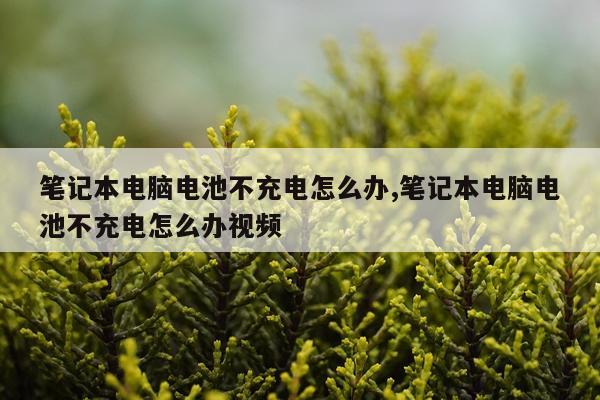 笔记本电脑电池不充电怎么办,笔记本电脑电池不充电怎么办视频