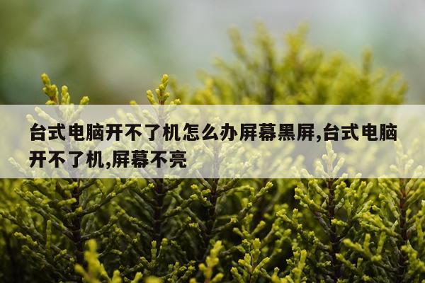 台式电脑开不了机怎么办屏幕黑屏,台式电脑开不了机,屏幕不亮
