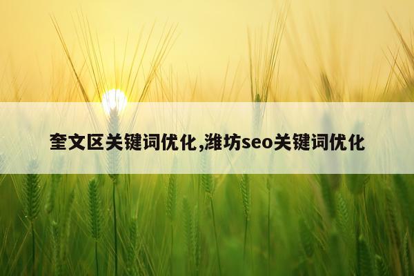 奎文区关键词优化,潍坊seo关键词优化