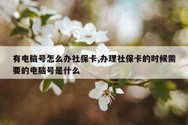 有电脑号怎么办社保卡,办理社保卡的时候需要的电脑号是什么
