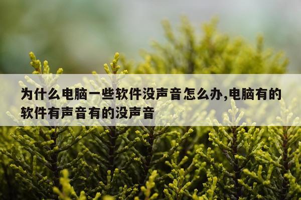 为什么电脑一些软件没声音怎么办,电脑有的软件有声音有的没声音