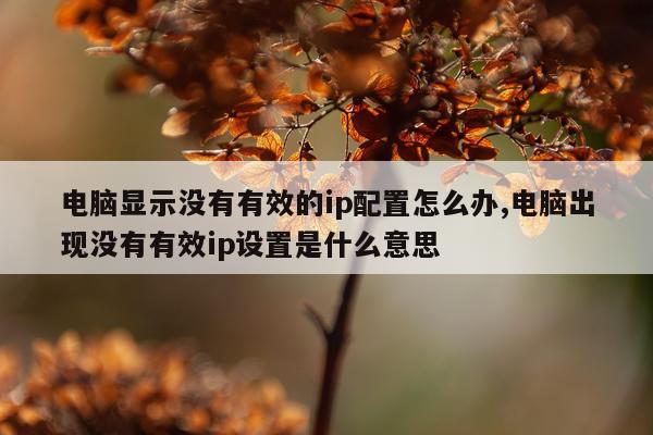 电脑显示没有有效的ip配置怎么办,电脑出现没有有效ip设置是什么意思
