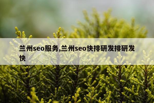 兰州seo服务,兰州seo快排研发排研发快