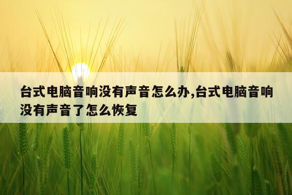 台式电脑音响没有声音怎么办,台式电脑音响没有声音了怎么恢复