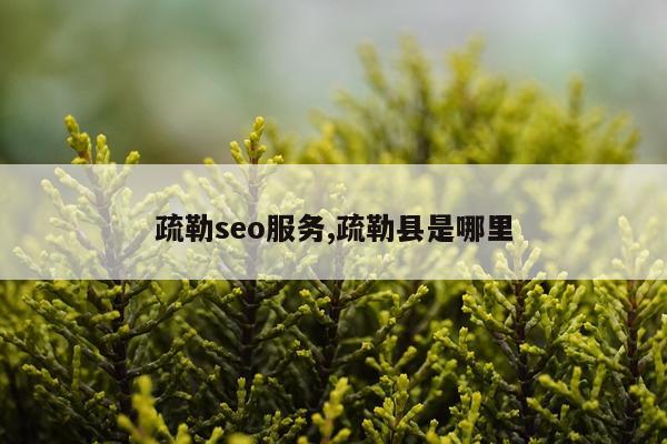 疏勒seo服务,疏勒县是哪里