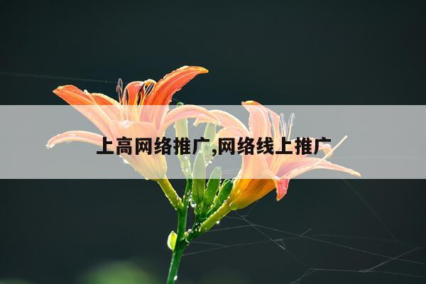 上高网络推广,网络线上推广