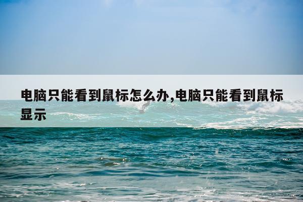 电脑只能看到鼠标怎么办,电脑只能看到鼠标显示