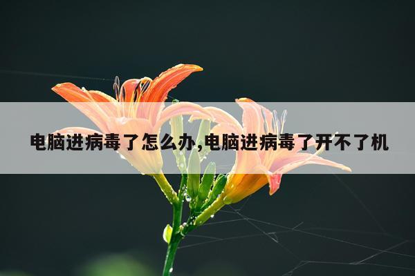 电脑进病毒了怎么办,电脑进病毒了开不了机
