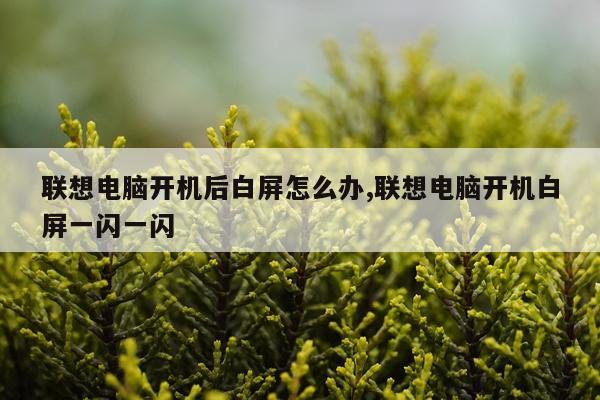 联想电脑开机后白屏怎么办,联想电脑开机白屏一闪一闪