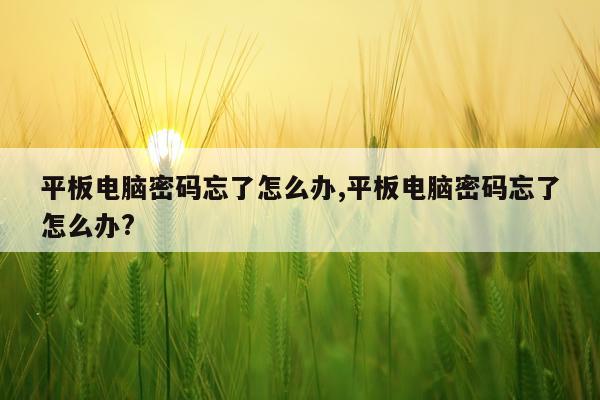 平板电脑密码忘了怎么办,平板电脑密码忘了怎么办?