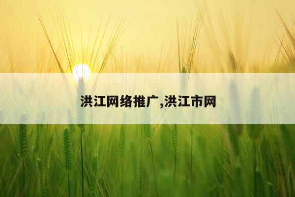 洪江网络推广,洪江市网