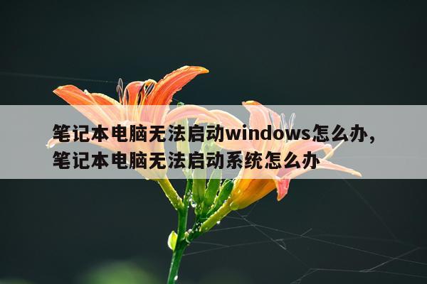 笔记本电脑无法启动windows怎么办,笔记本电脑无法启动系统怎么办
