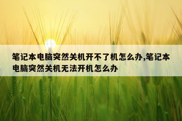 笔记本电脑突然关机开不了机怎么办,笔记本电脑突然关机无法开机怎么办