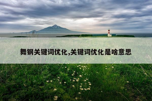 舞钢关键词优化,关键词优化是啥意思