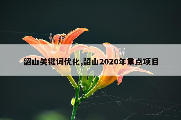 韶山关键词优化,韶山2020年重点项目