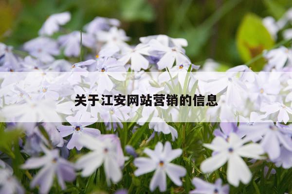 关于江安网站营销的信息