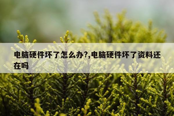 电脑硬件坏了怎么办?,电脑硬件坏了资料还在吗