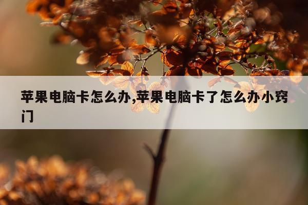苹果电脑卡怎么办,苹果电脑卡了怎么办小窍门