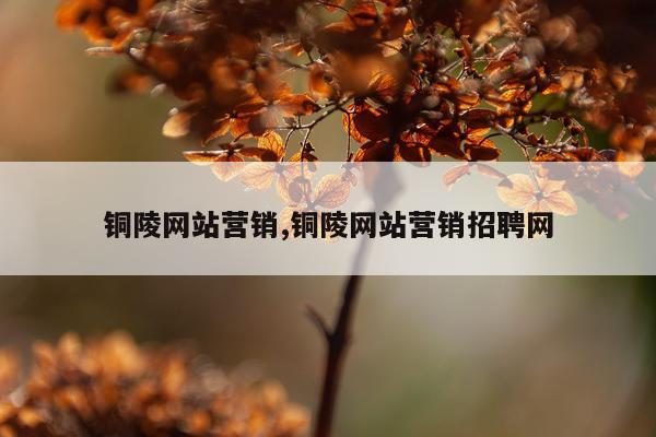 铜陵网站营销,铜陵网站营销招聘网