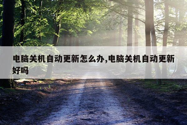 电脑关机自动更新怎么办,电脑关机自动更新好吗