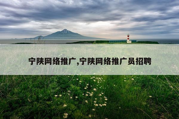 宁陕网络推广,宁陕网络推广员招聘